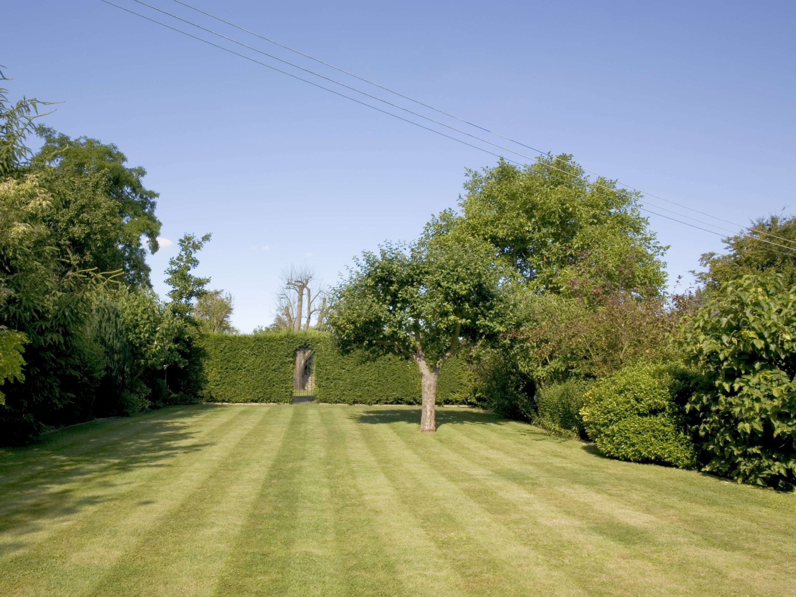 Lawn Mowing/Hedge Trimming Blackheath SE3