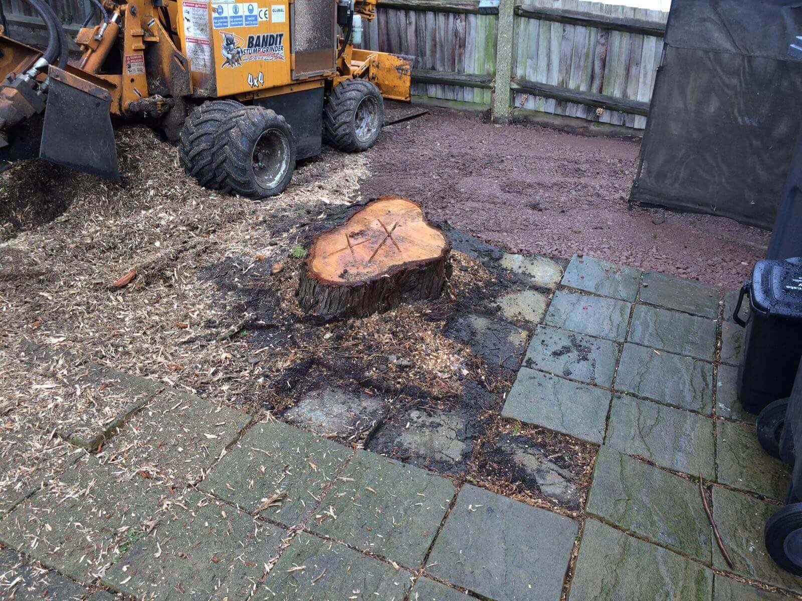 Tree Surgeons Blackheath SE3