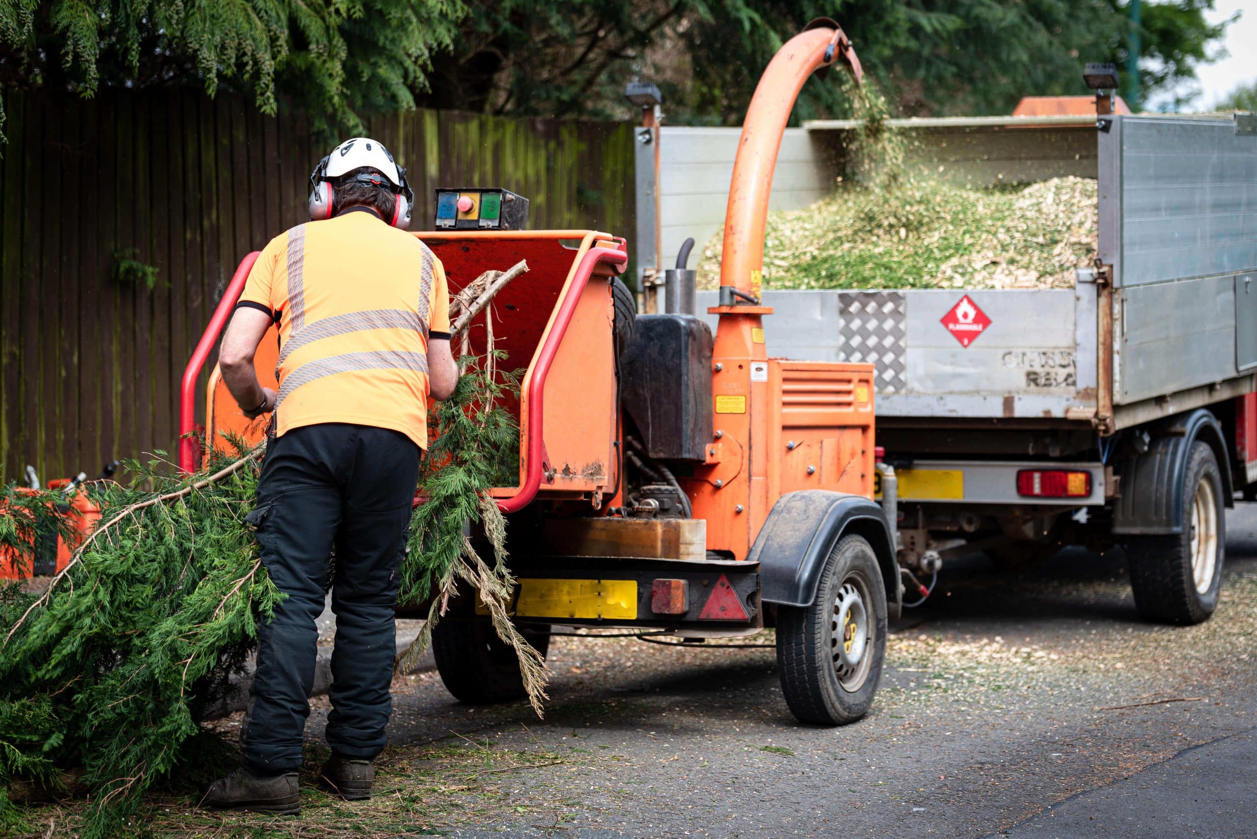Tree Stump Grinding/Removal Blackheath SE3